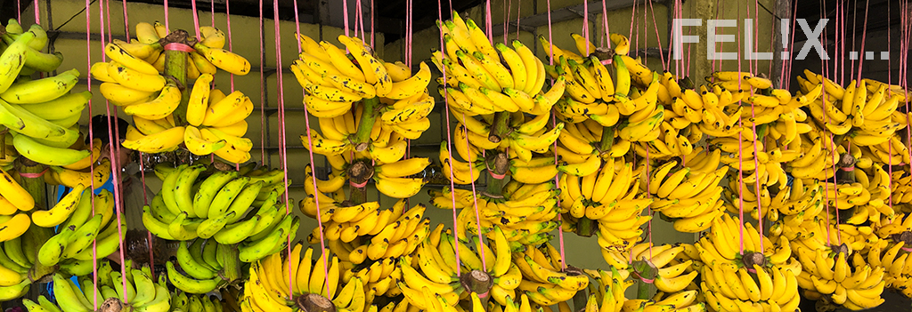 BananenBananen_1024