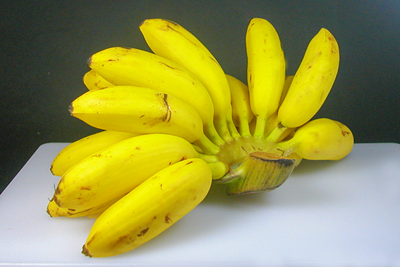 BananenG-KhaiDSCN6701