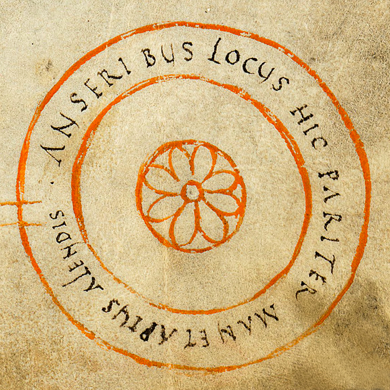 Klosterplan_SG_Rosette