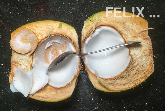Kokosfleisch_ausloesen