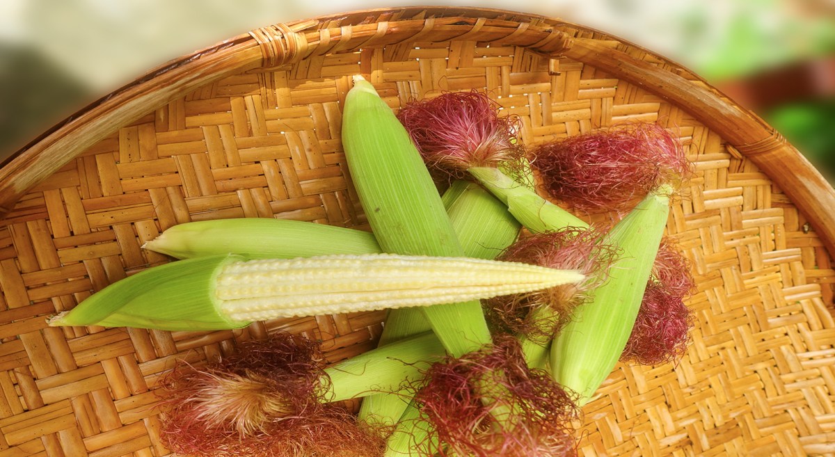 #12 VON 12 IM JULI – FEL!X KITCHEN #12 VON 12 IM JULI – FEL!X KITCHEN