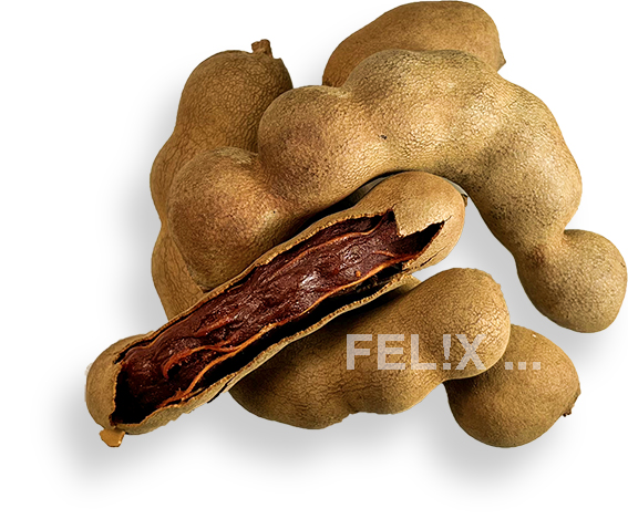 Tamarinden_Schoten_frei